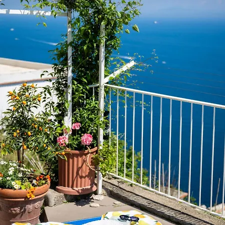Blue Moon House *